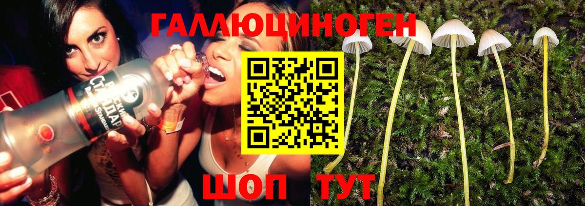 Галлюциногенные грибы Magic Shrooms Великие Луки